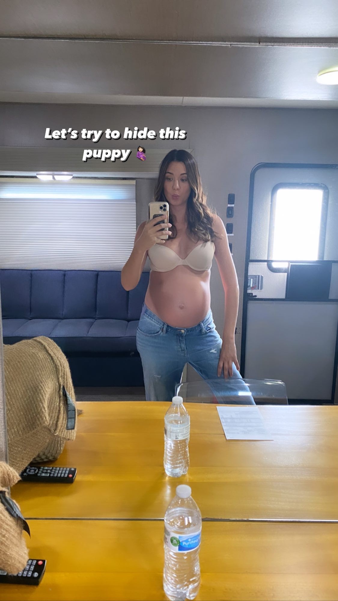 Odette Annable Yustman Lingerie Selfie While Pregnant