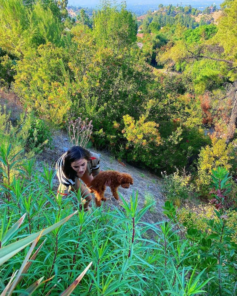 Olivia Culpo Naked Ass Upskirt (3 Photos) - FappeningTime