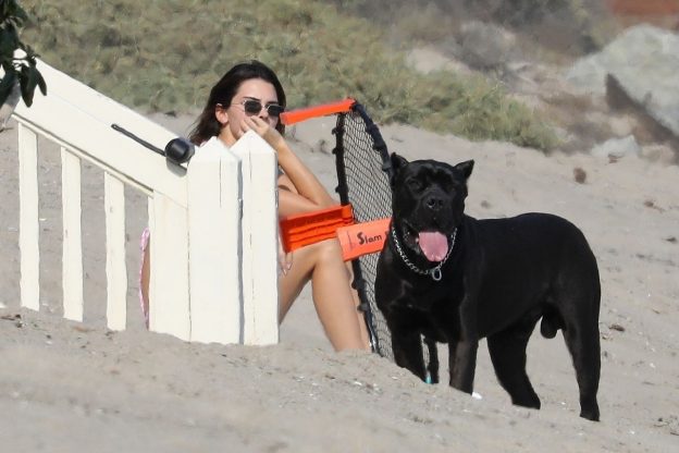 Kendall Jenner Enjoys The Company Of Devin Booker On The Beach (21 Photos)