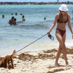 Roosmarijn De Kok Sexy Bikini In Miami (30 Photos)