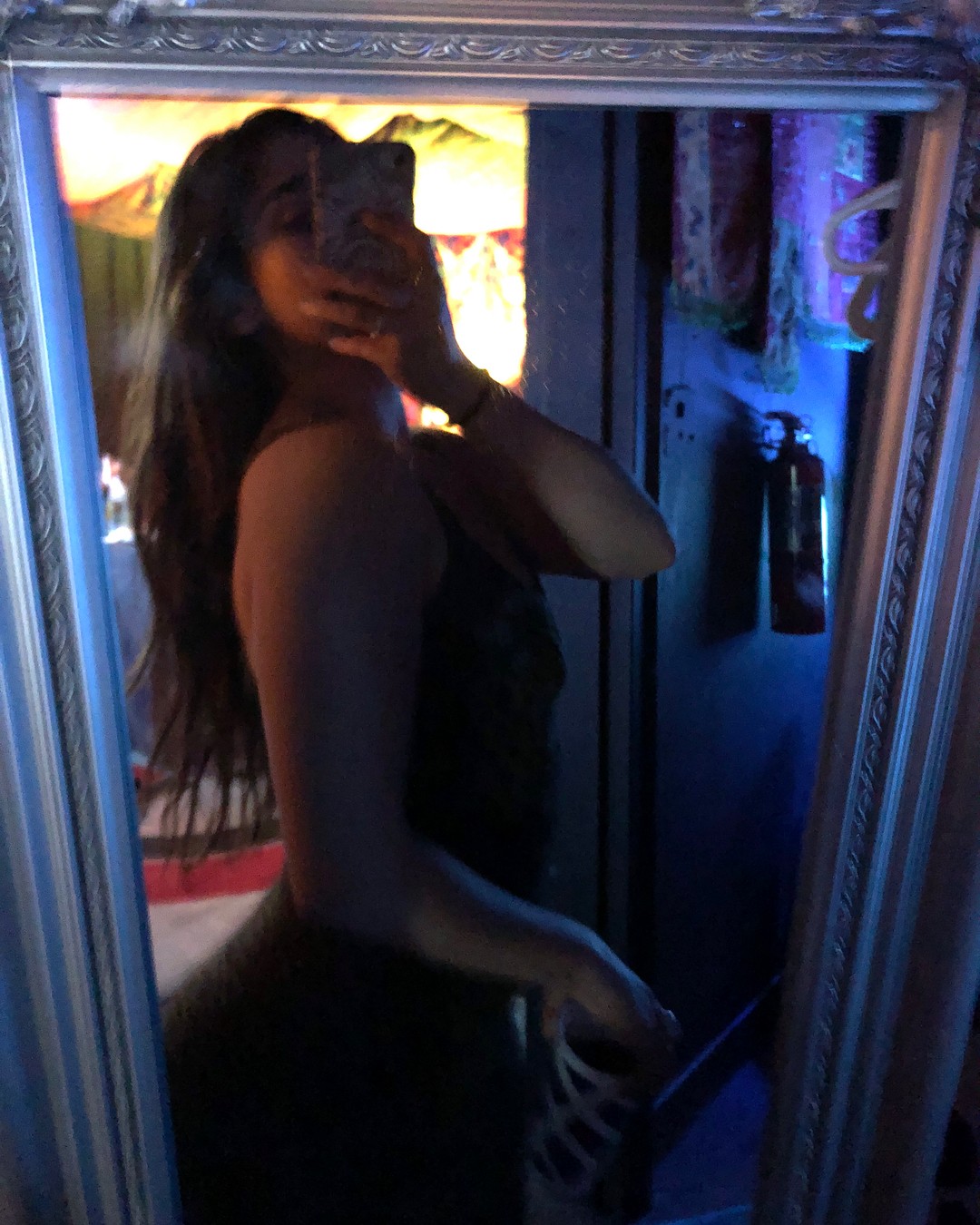 Lauren Jauregui Leaked Selfie