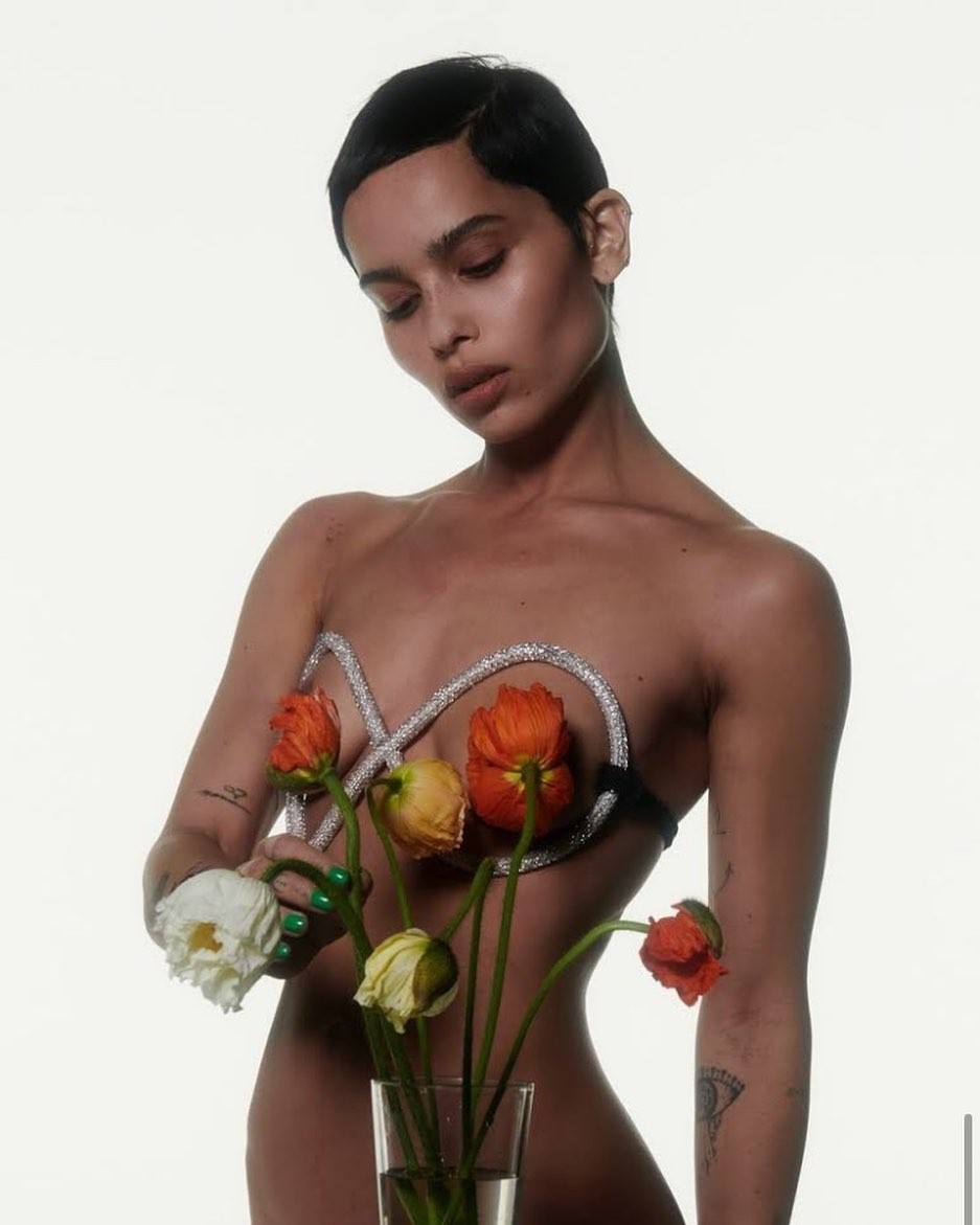 Zoe Kravitz Nude