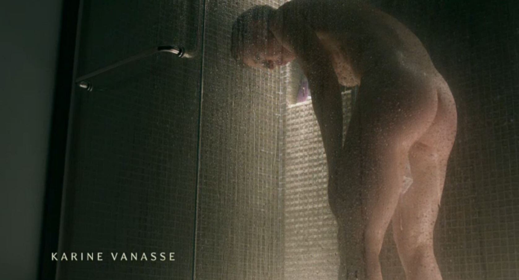 Karine Vanasse Naked