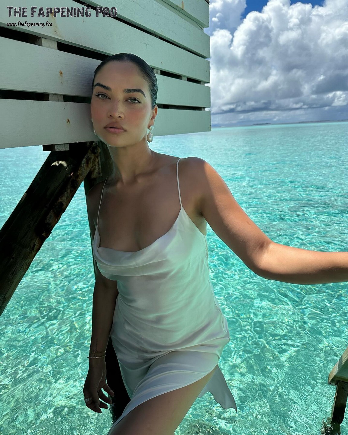 Shanina Shaik Fappening