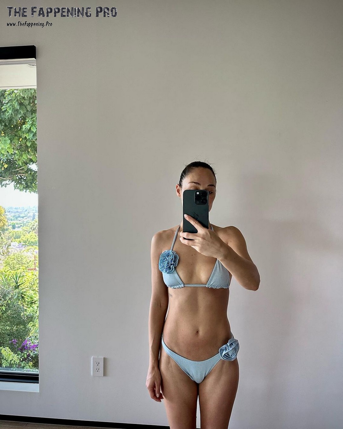 Cara Santana Bikini