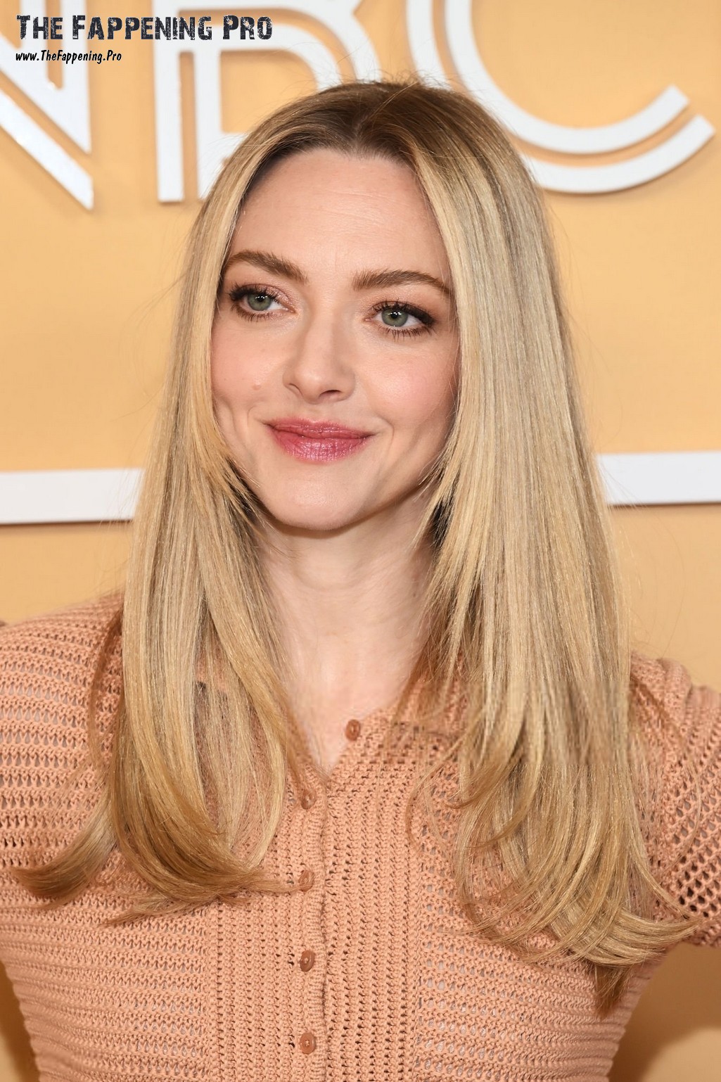 Amanda Seyfried