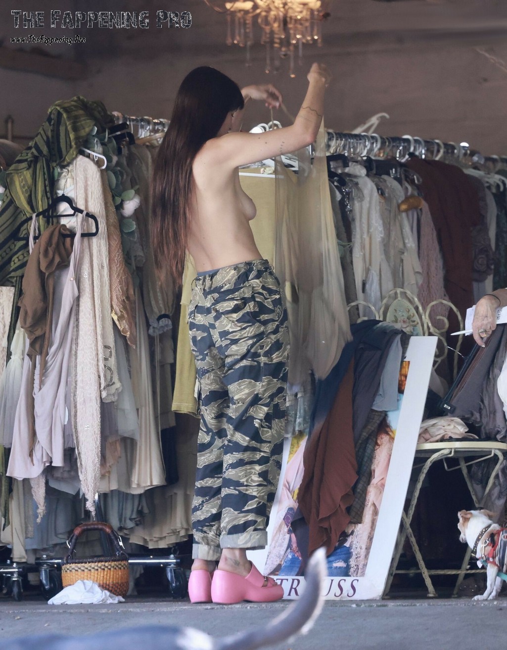 Dakota Johnson Topless