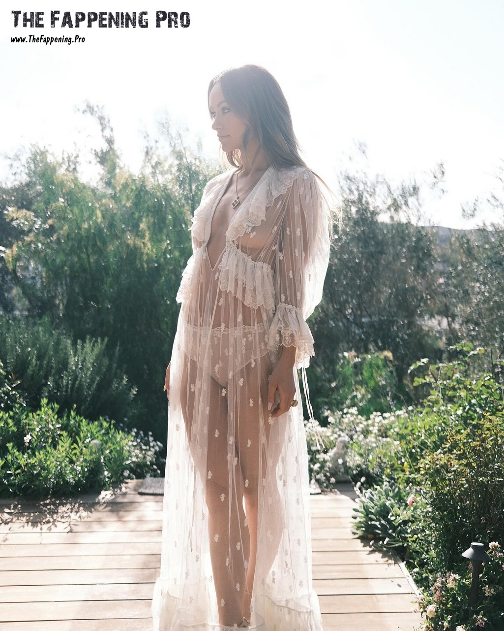 Olivia Wilde See Through Nudity