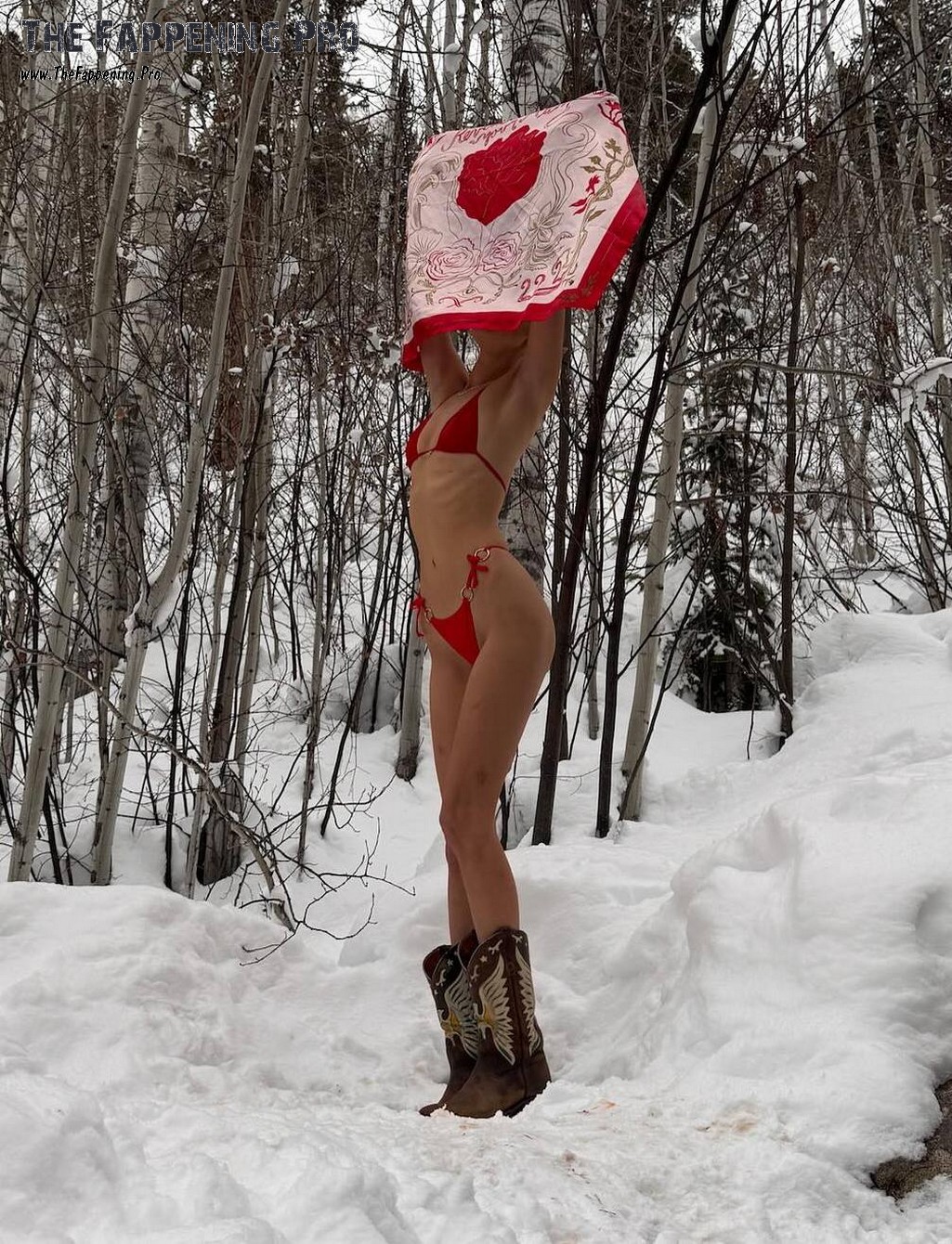 Bella Hadid Wearing Revealing Bikini In Winter