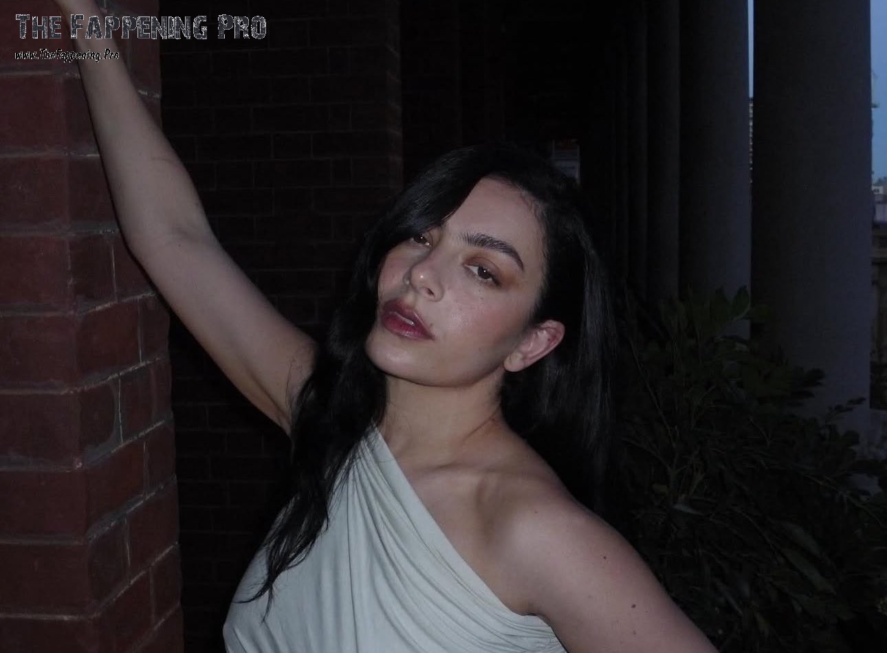Charli XCX Hot