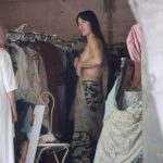 Dakota Johnson Nude