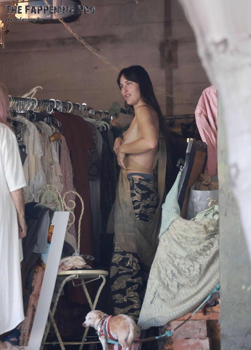 Dakota Johnson Nude