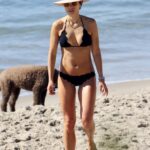 Jordana Brewster Sexy In Bikini