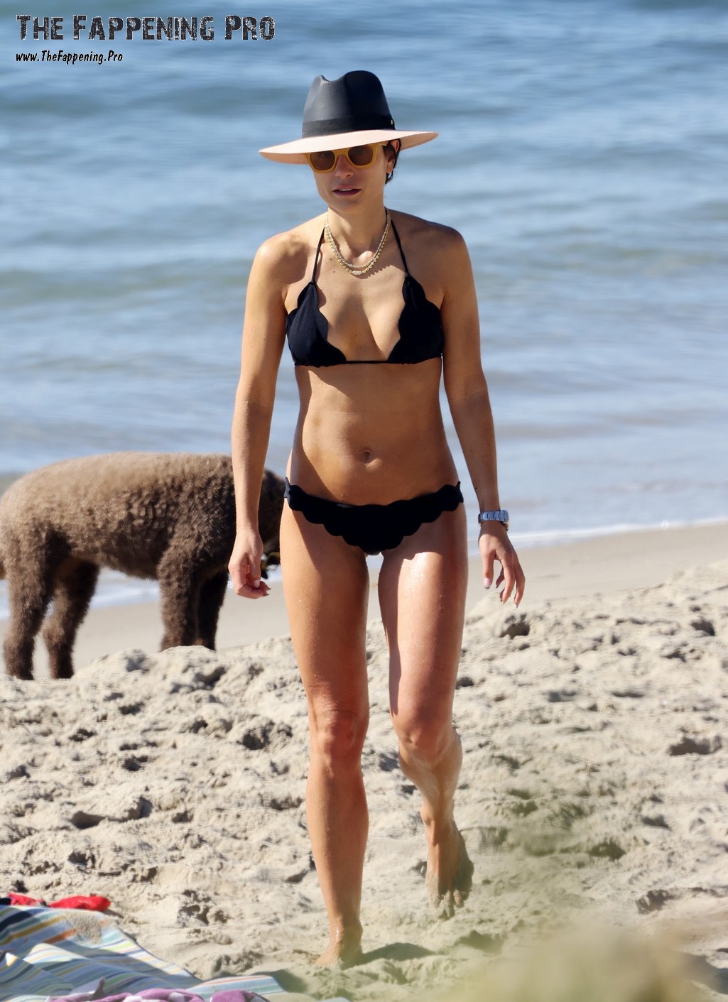 Jordana Brewster Sexy In Bikini