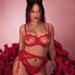 Rihanna See Through Nudity