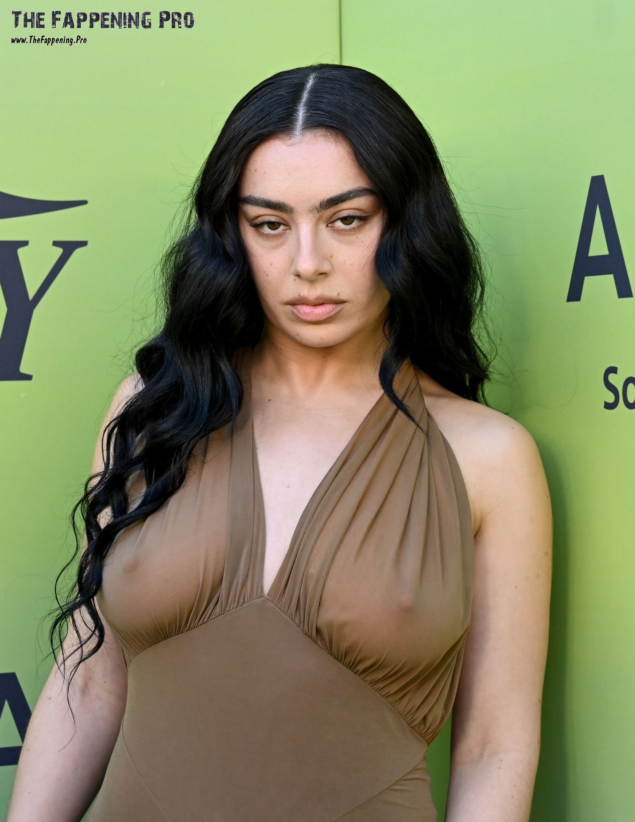 Charli XCX See Through Nudity