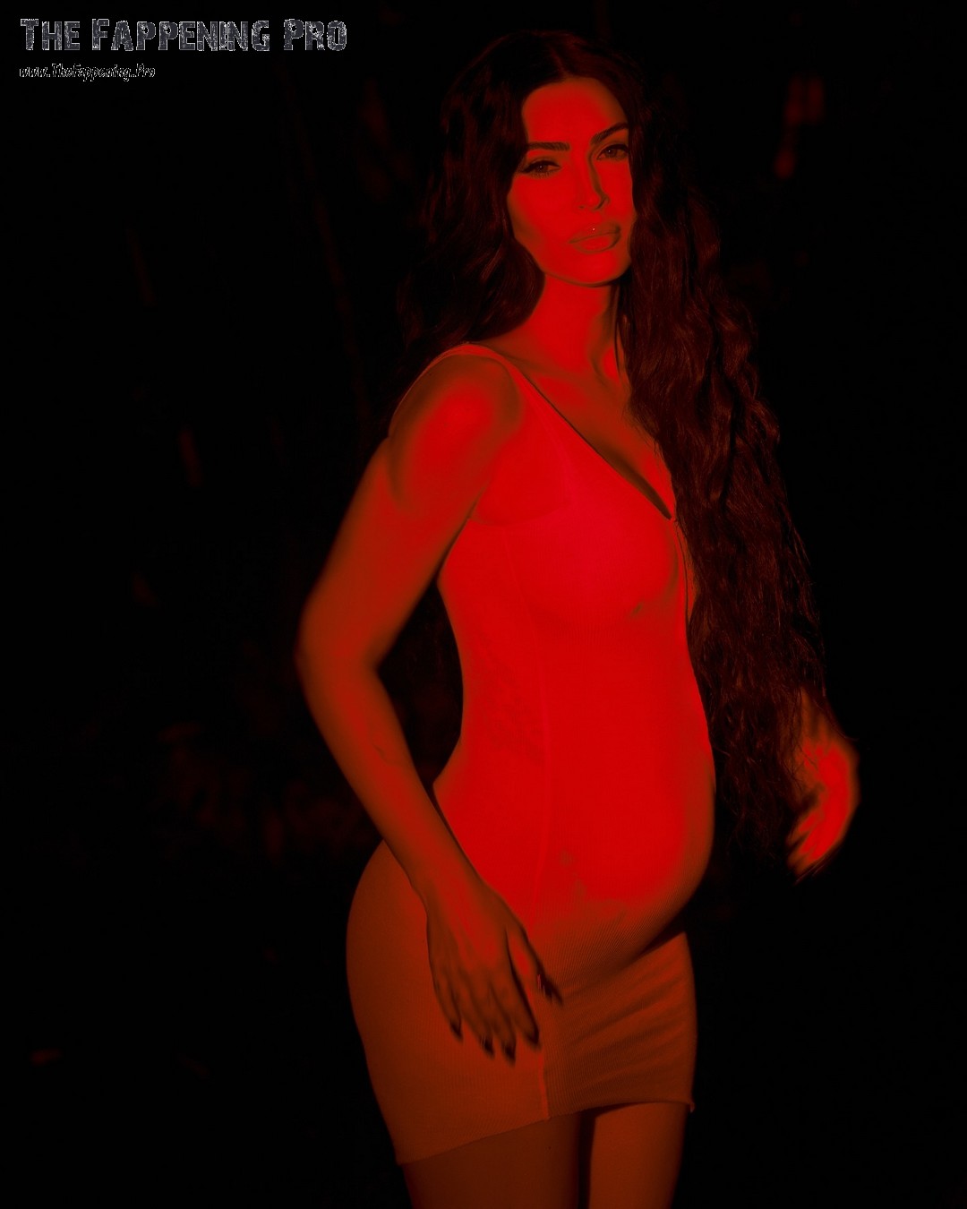 Megan Fox Preggo Nudity