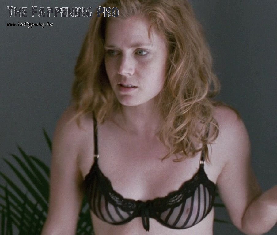 Amy Adams Tits Naked Pictures