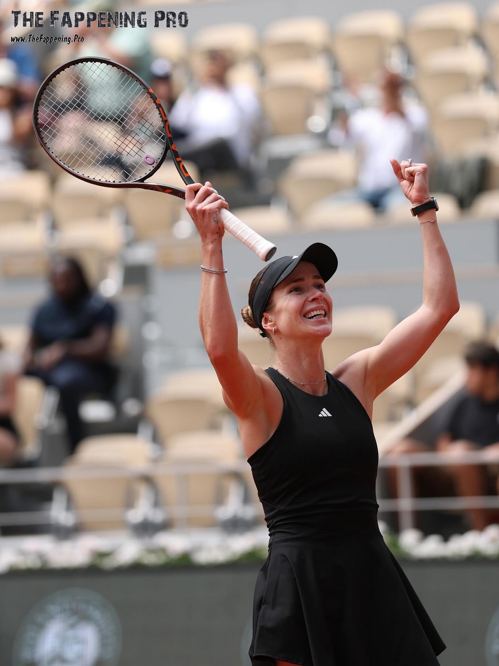 Elina Svitolina Tennis Player