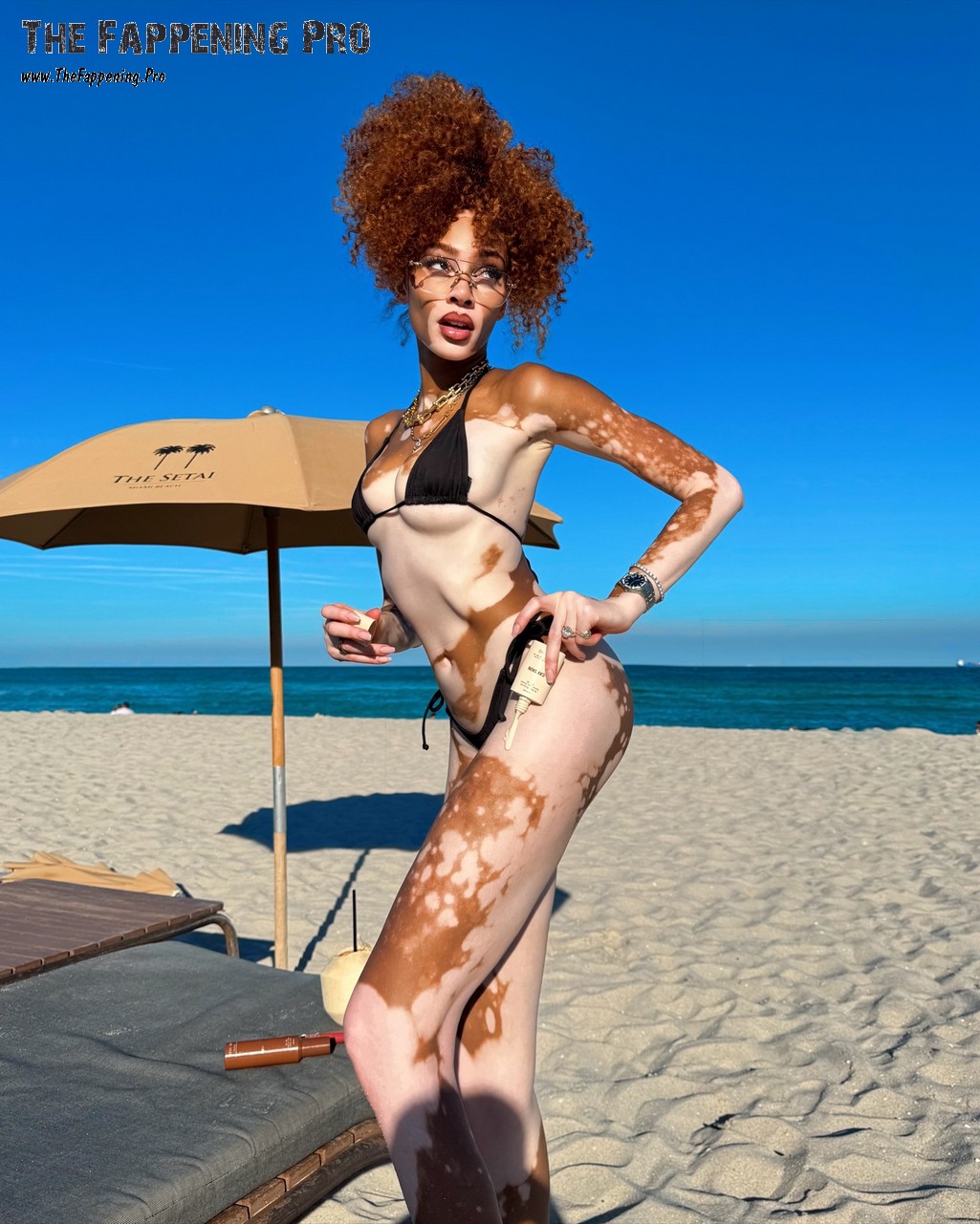 Winnie Harlow In Bikini