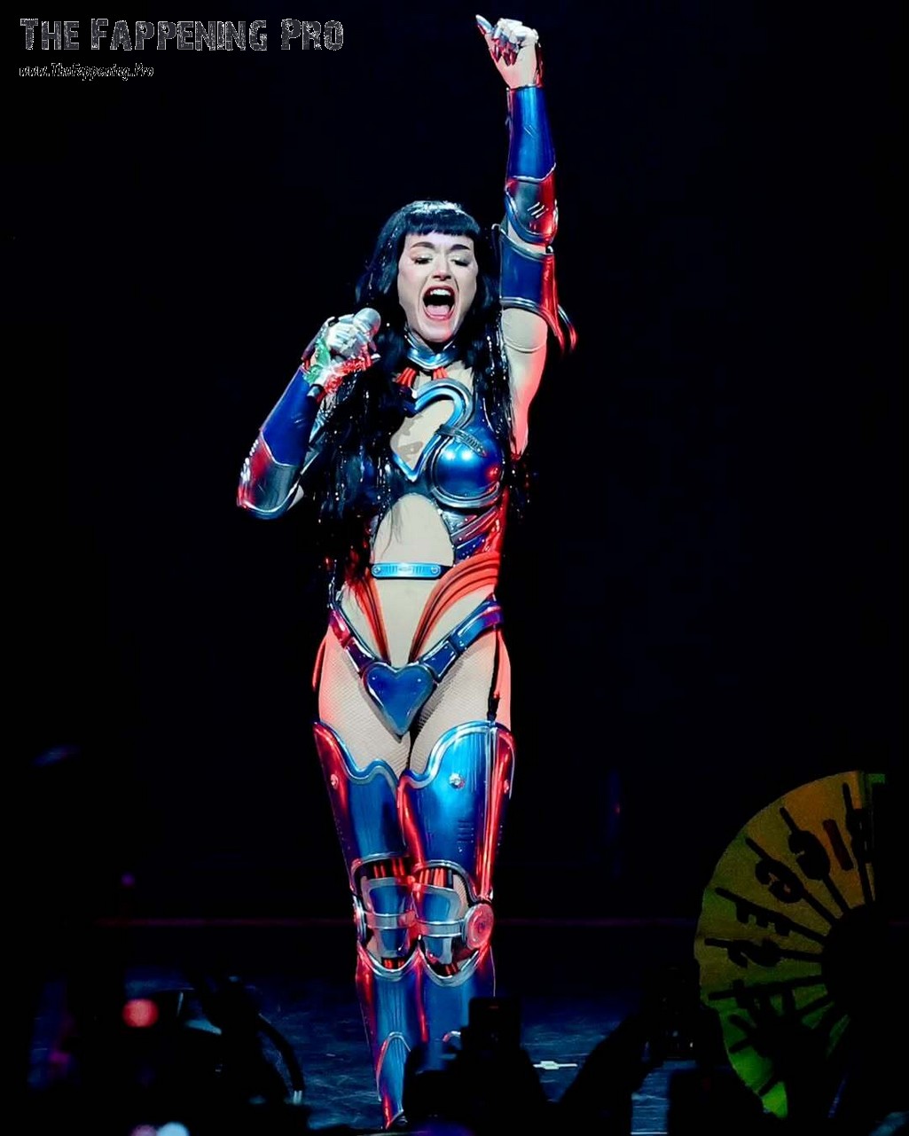 Katy Perry Sexy Lifetimes Tour Look