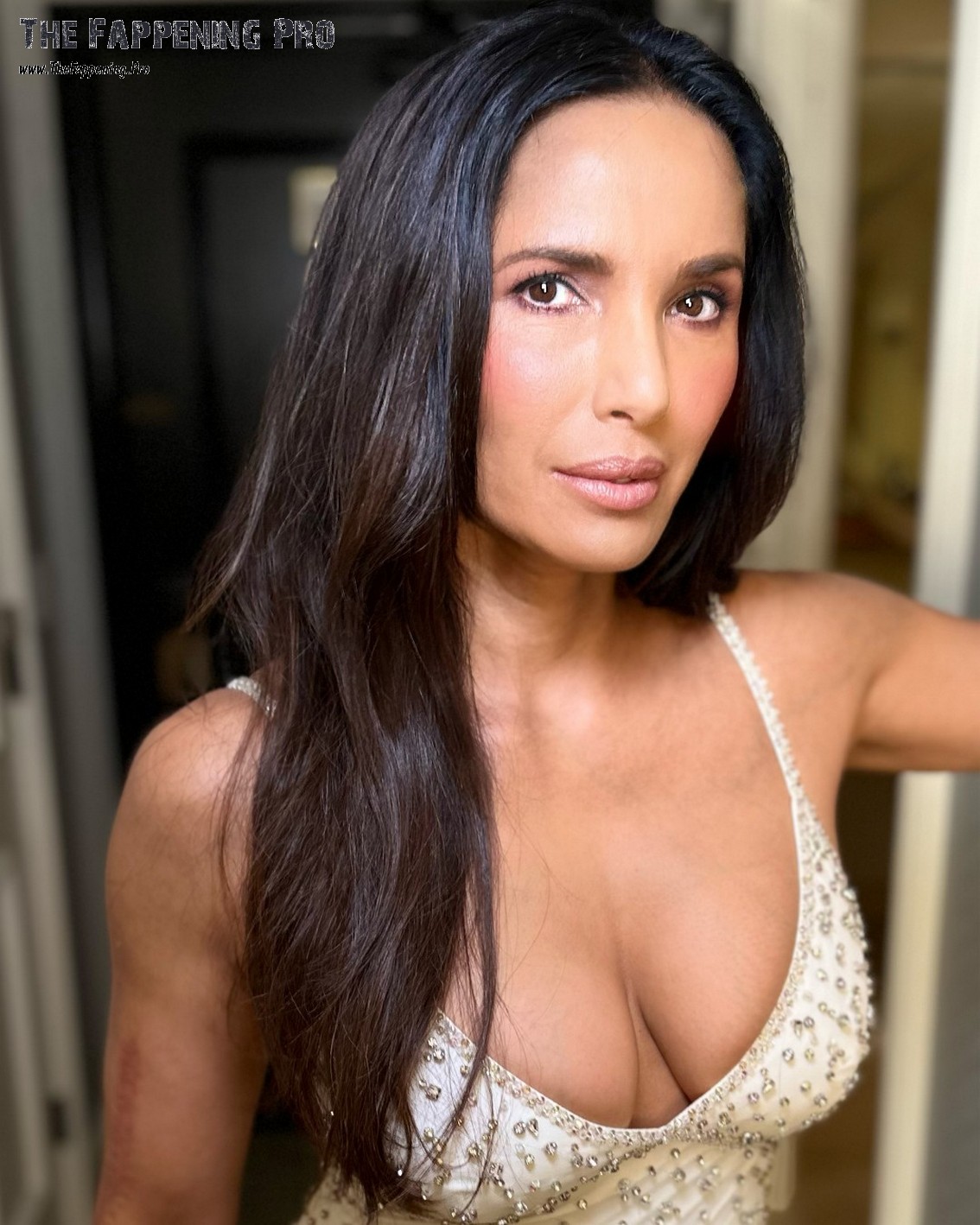 Padma Lakshmi Tits