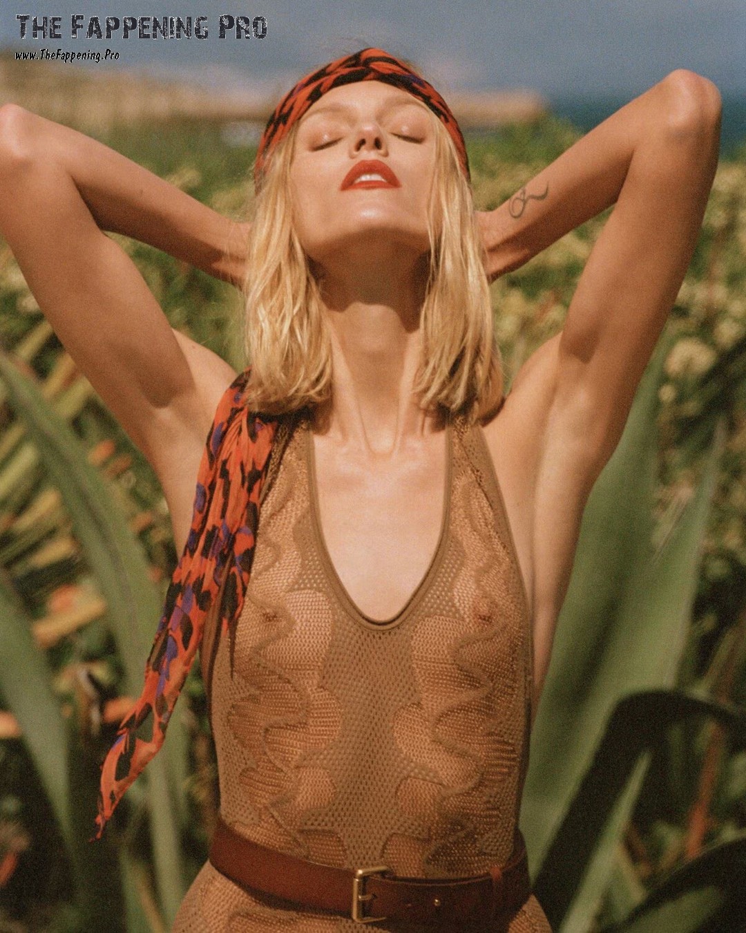 Anja Rubik Topless