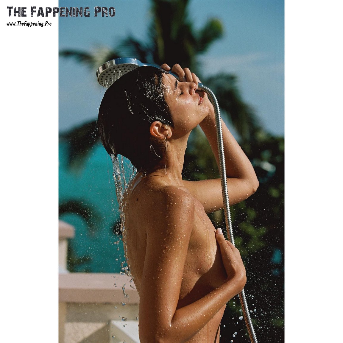 Taylor Hill Topless Covered