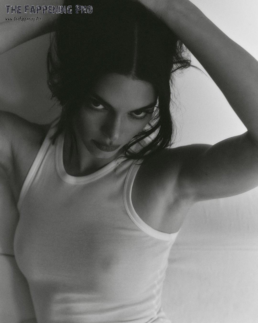 Kendall Jenner See Through Nudity