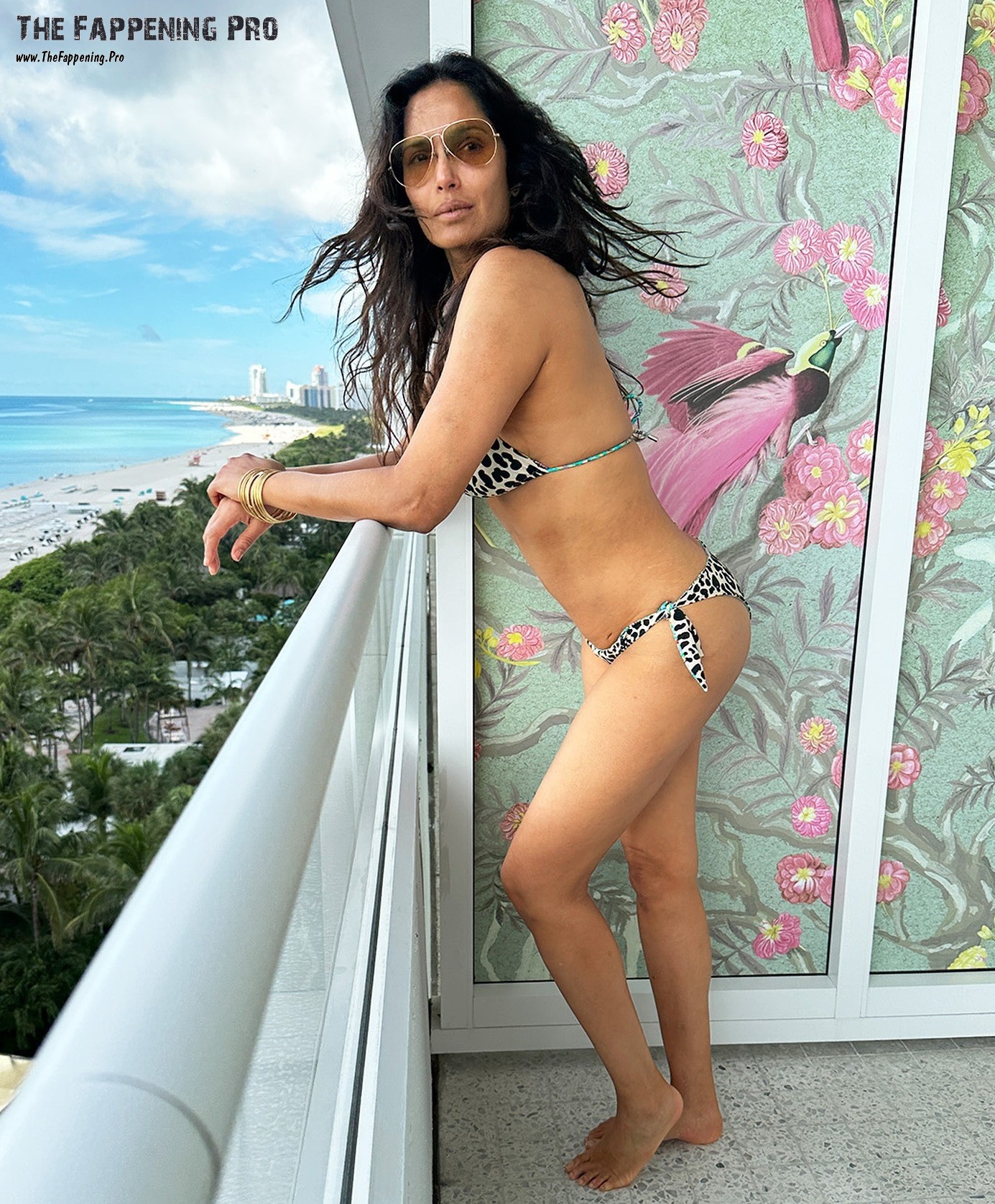 Padma Lakshmi Sexy