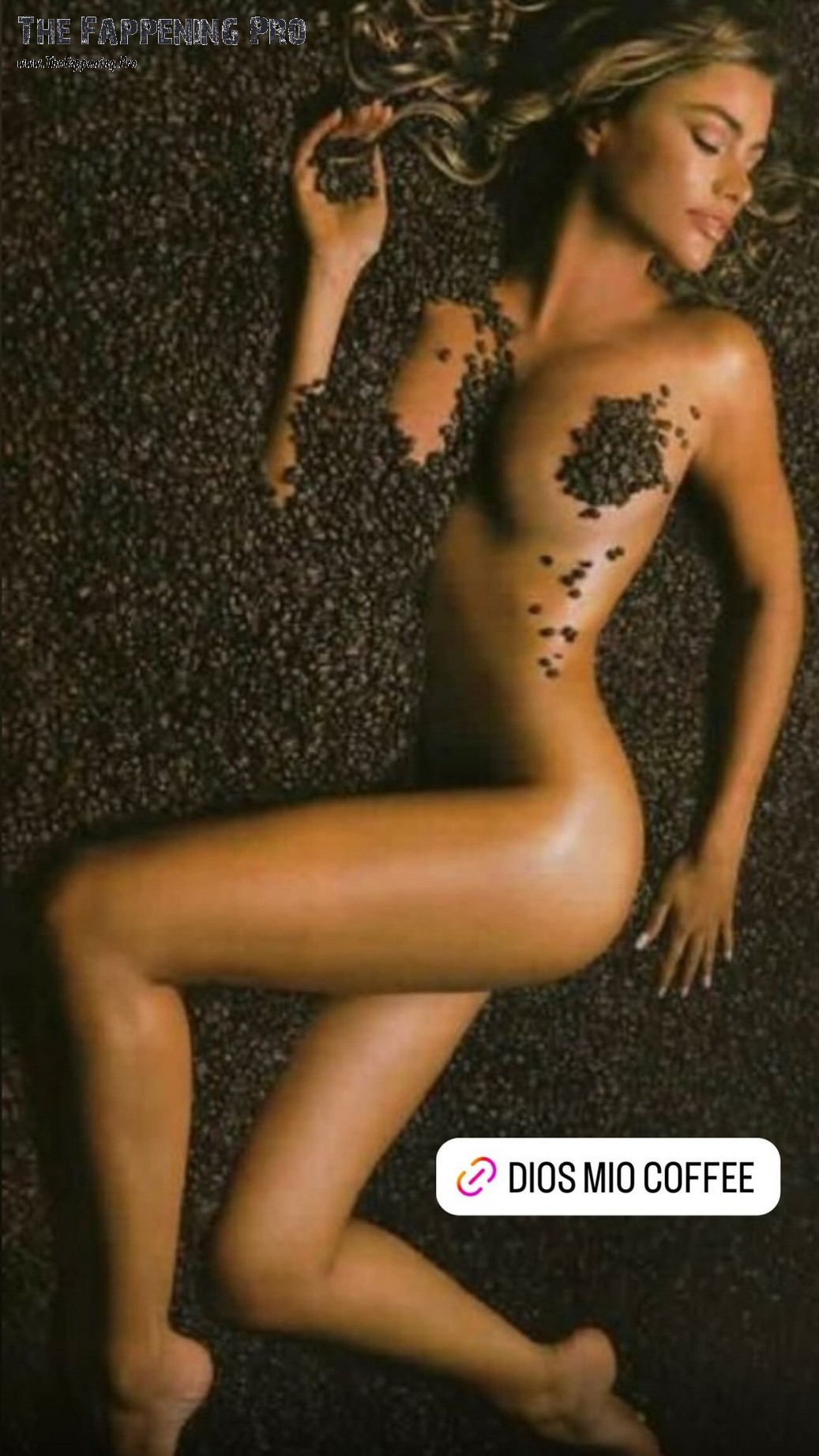 Sofia Vergara Nude In Coffee Beans