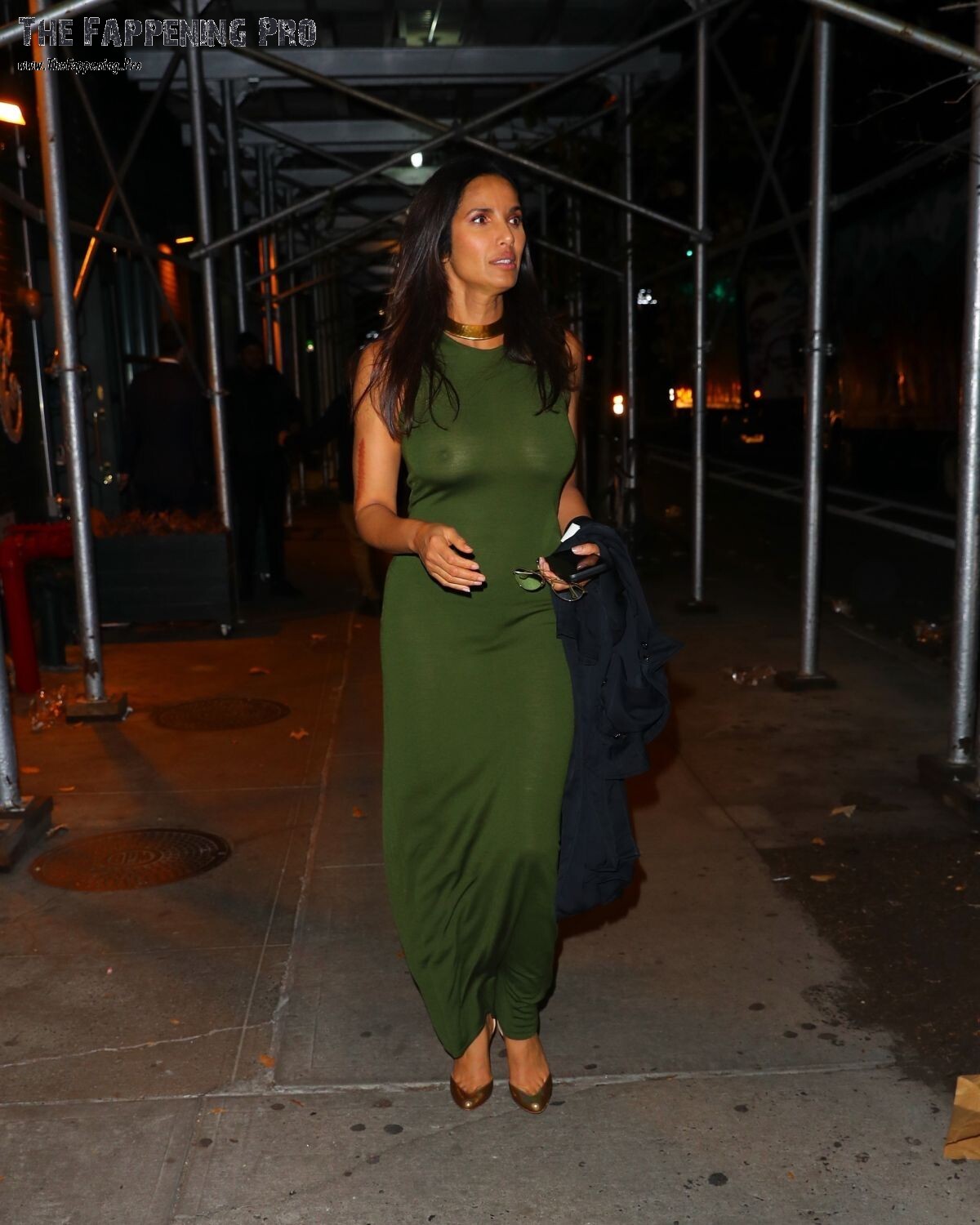Padma Lakshmi See Through Nudity