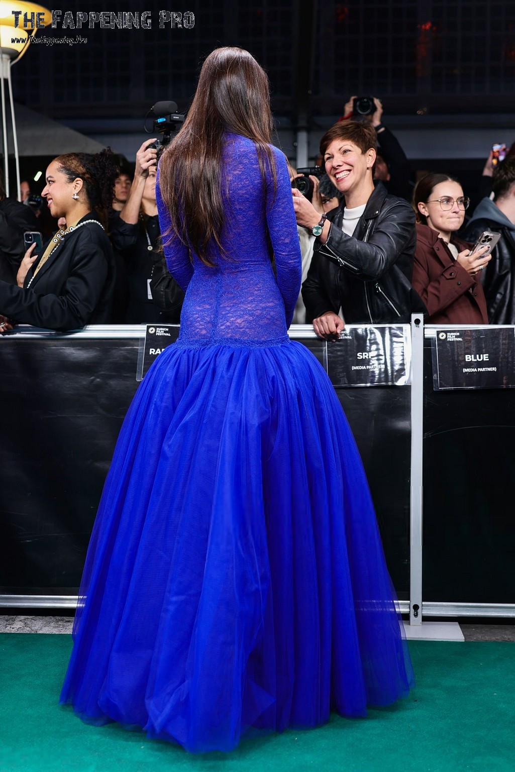 Dakota Johnson Panties