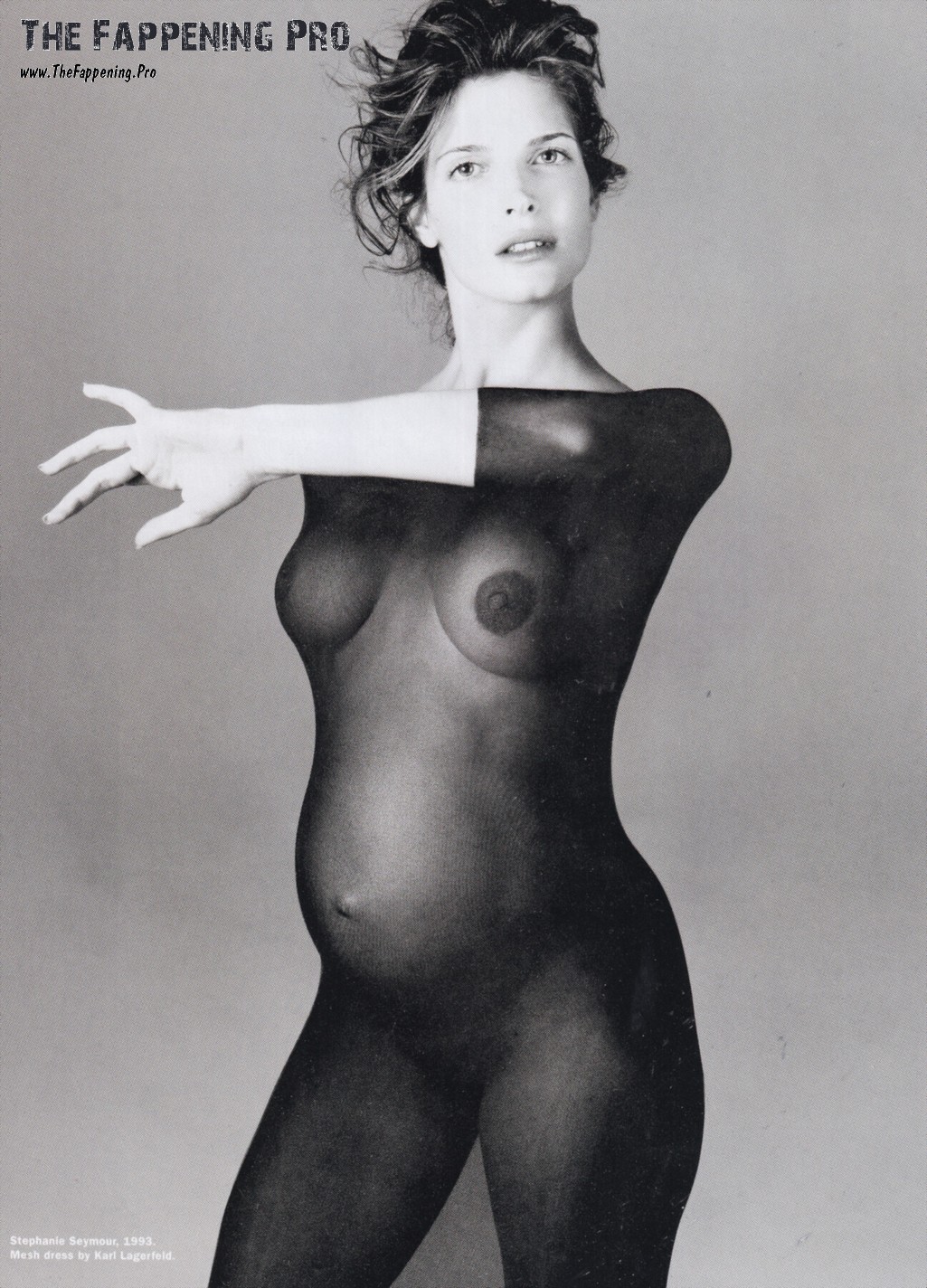 Stephanie Seymour Pregnant Nude