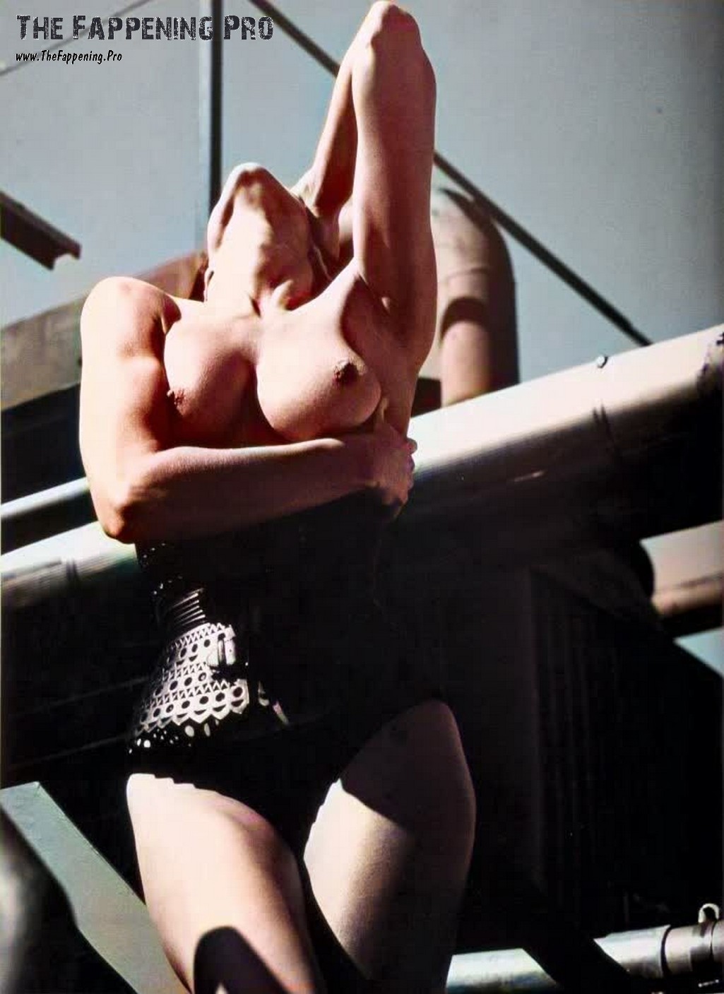 Stephanie Seymour Colorized Nudity 2025