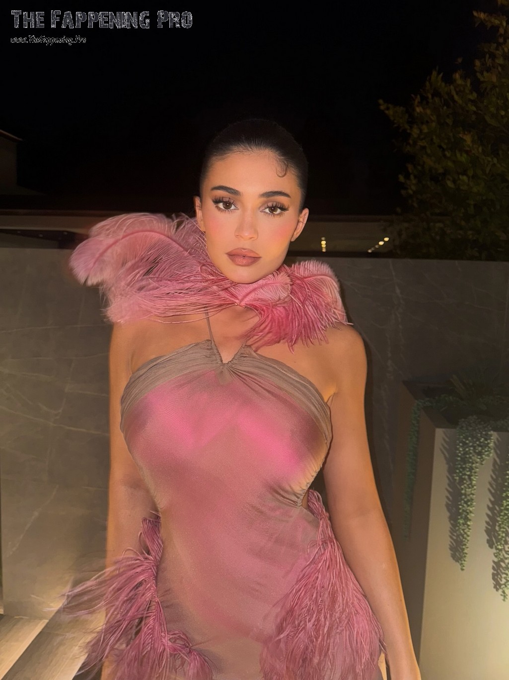 Kylie Jenner Sexy In See Through Dress At The Christmas Party 2025 