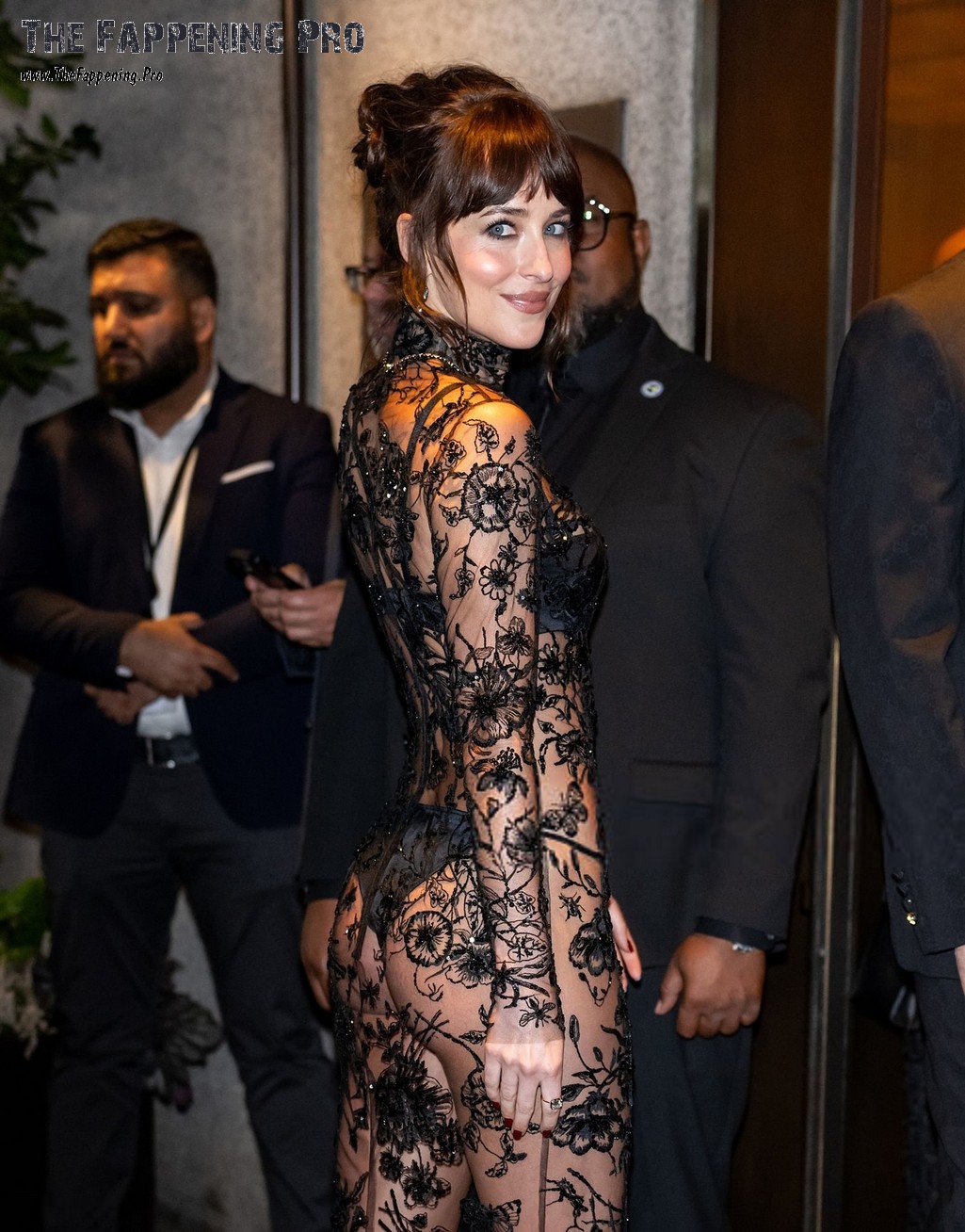 Dakota Johnson Sexy Ass