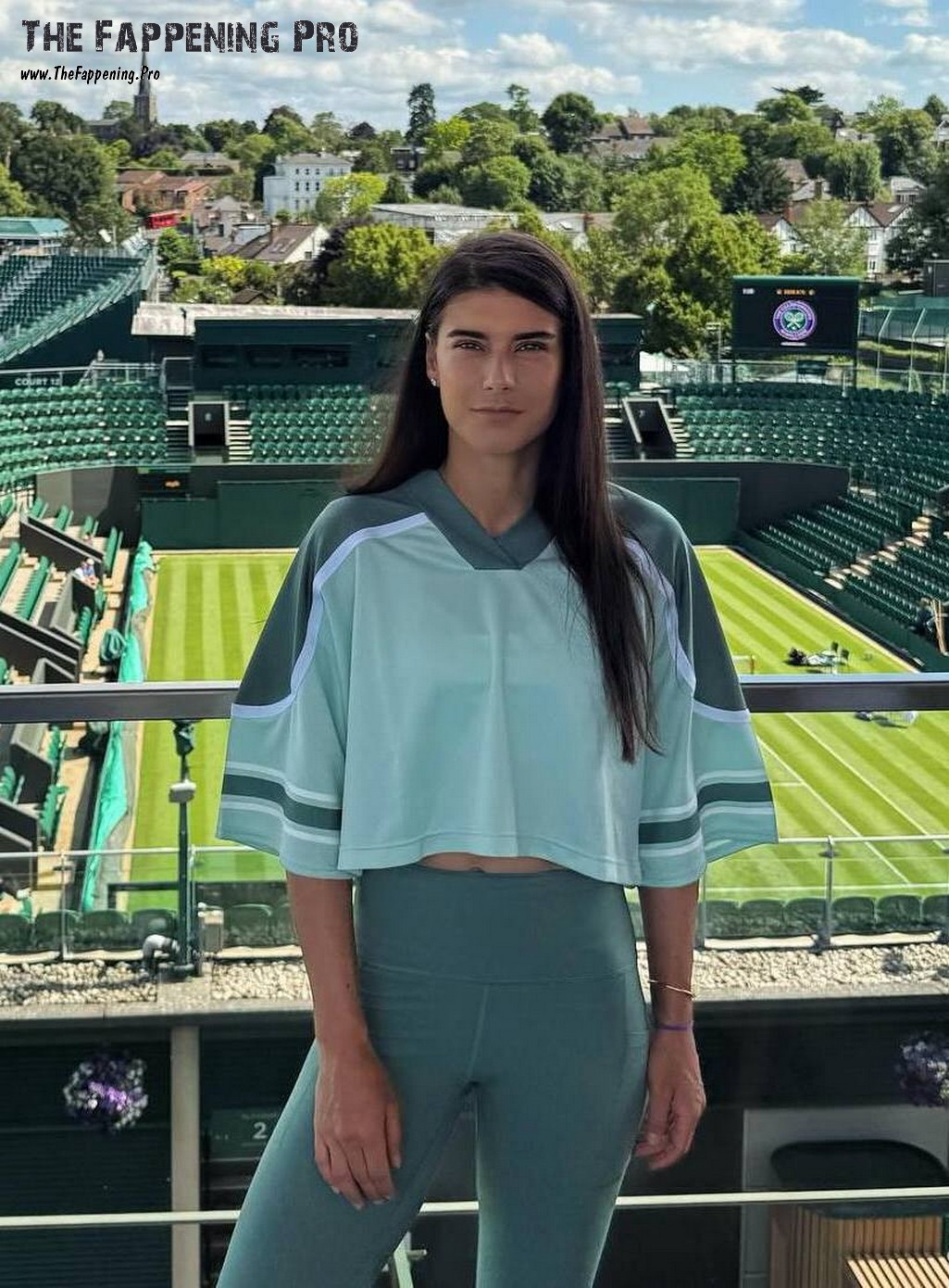 Sorana Cirstea Cameltoe