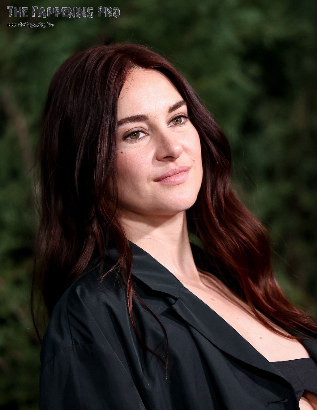 Shailene Woodley Tits