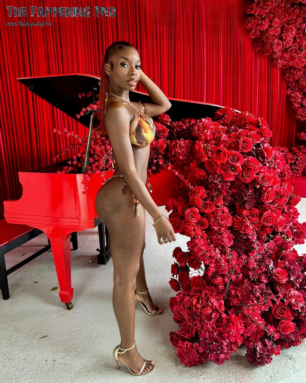 Olandria Carthen Sexy In Bikini