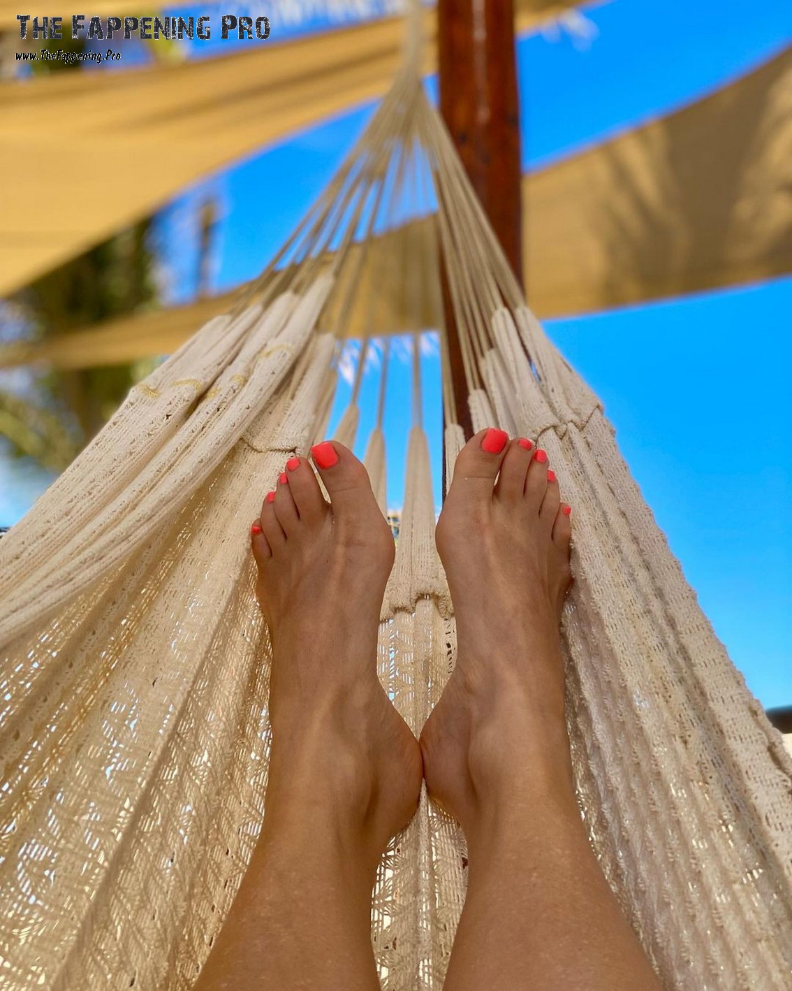 Erin Karpluk Feet