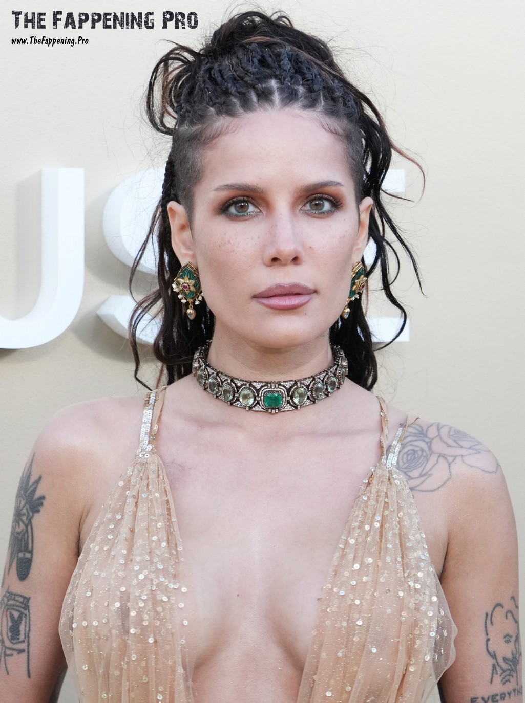 Halsey Tits