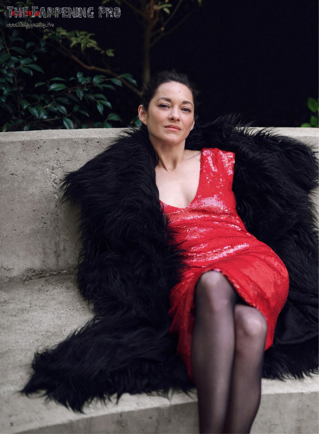 Marion Cotillard Sexy 