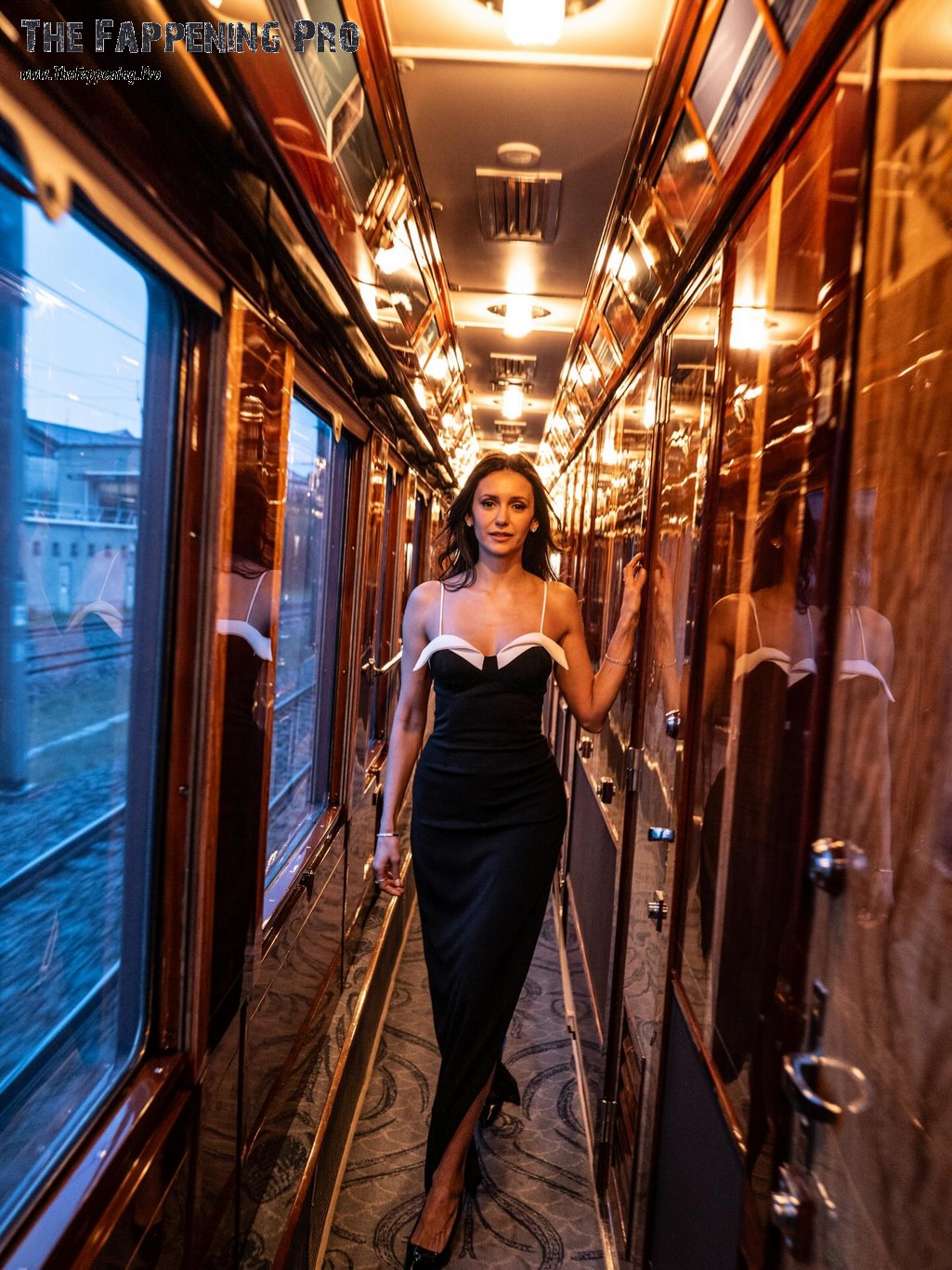 Nina Dobrev Hot