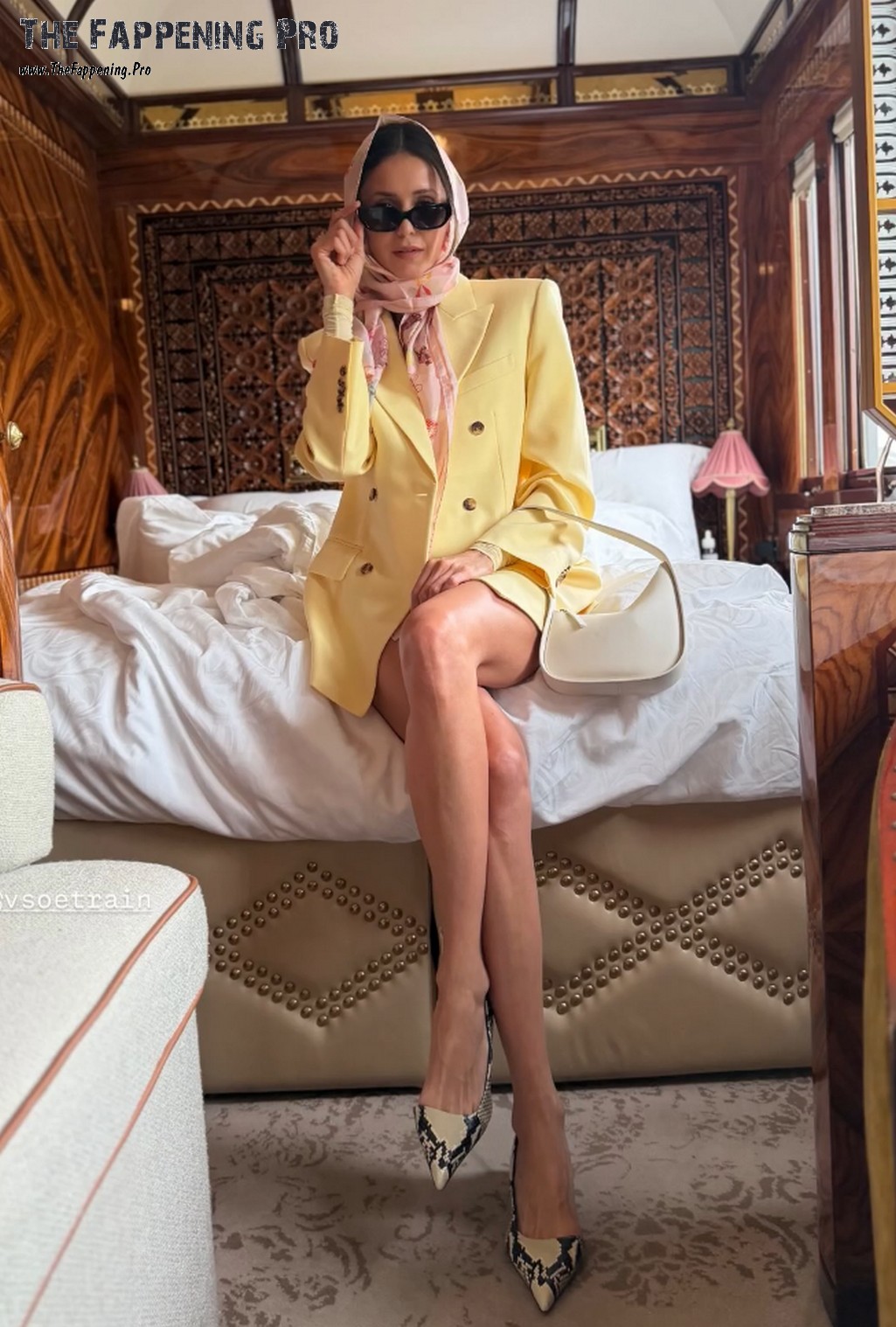 Nina Dobrev Leggy