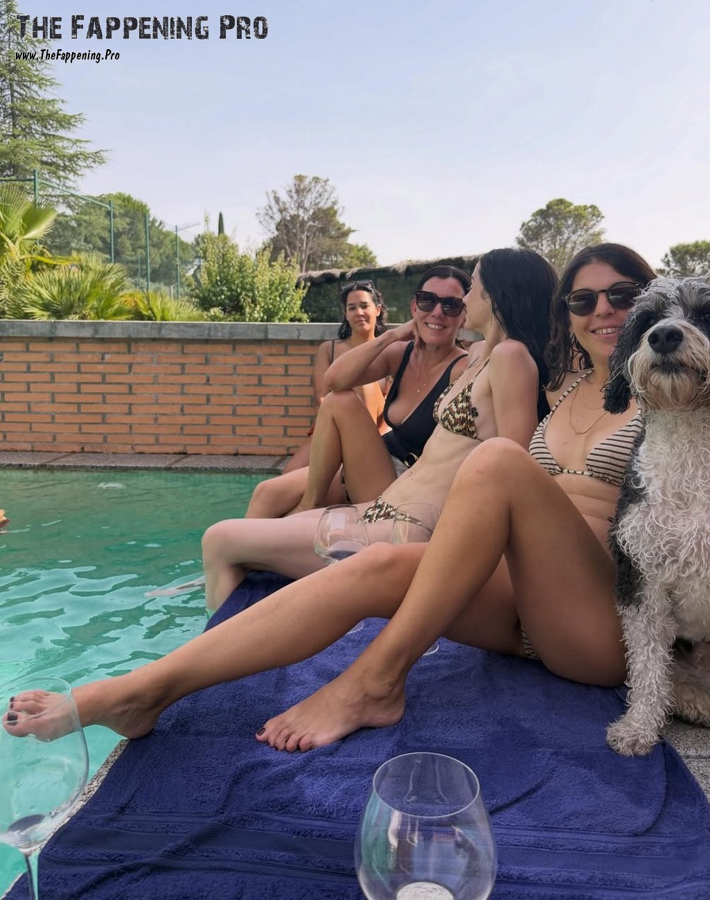 Ana De Armas Feet
