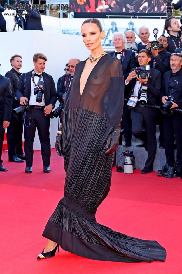Natasha Poly Exposed Tits In See Through Dress