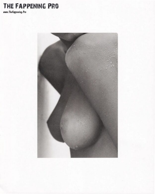 Stephanie Seymour Nudity