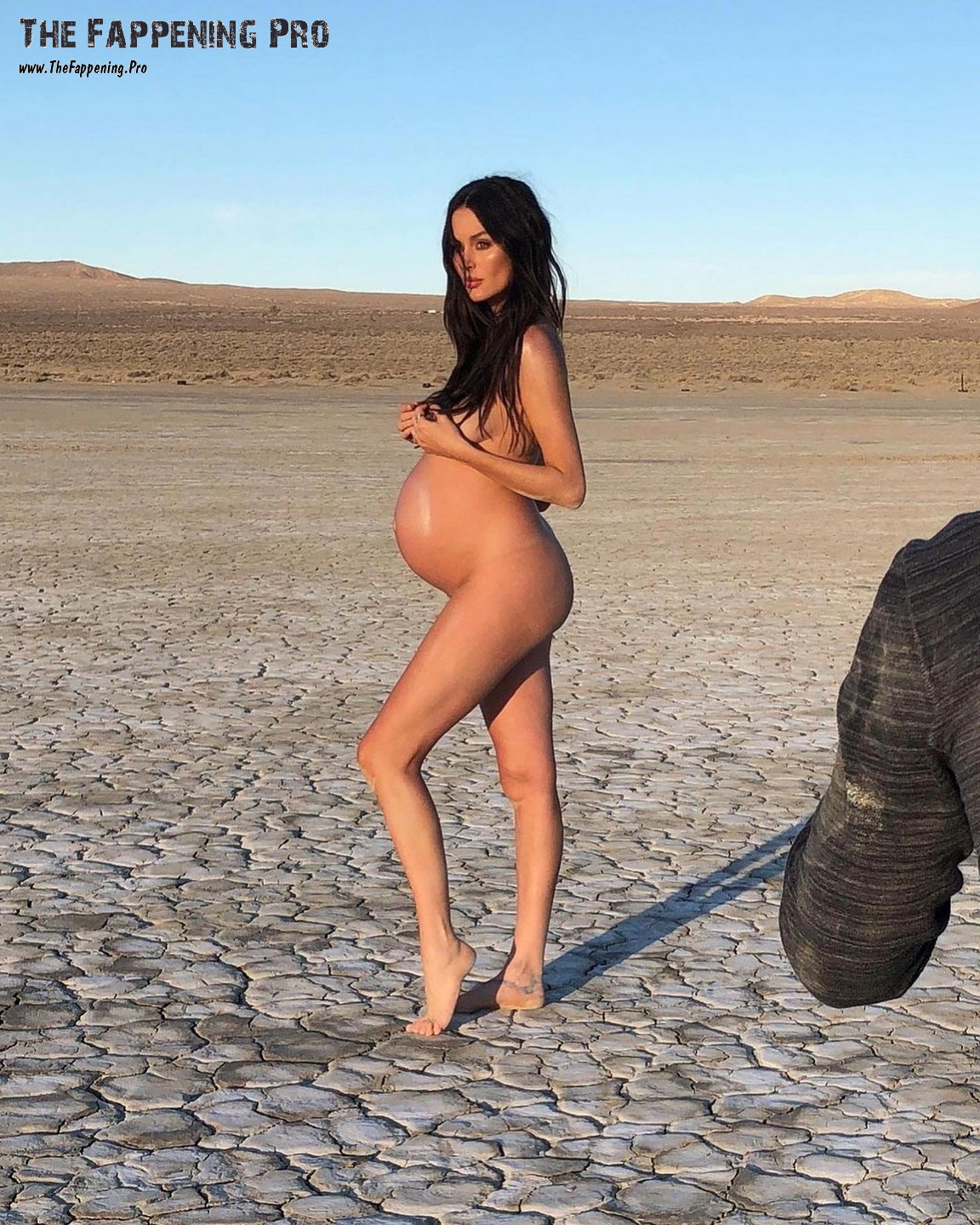 Nicole Trunfio Nude Pregnant