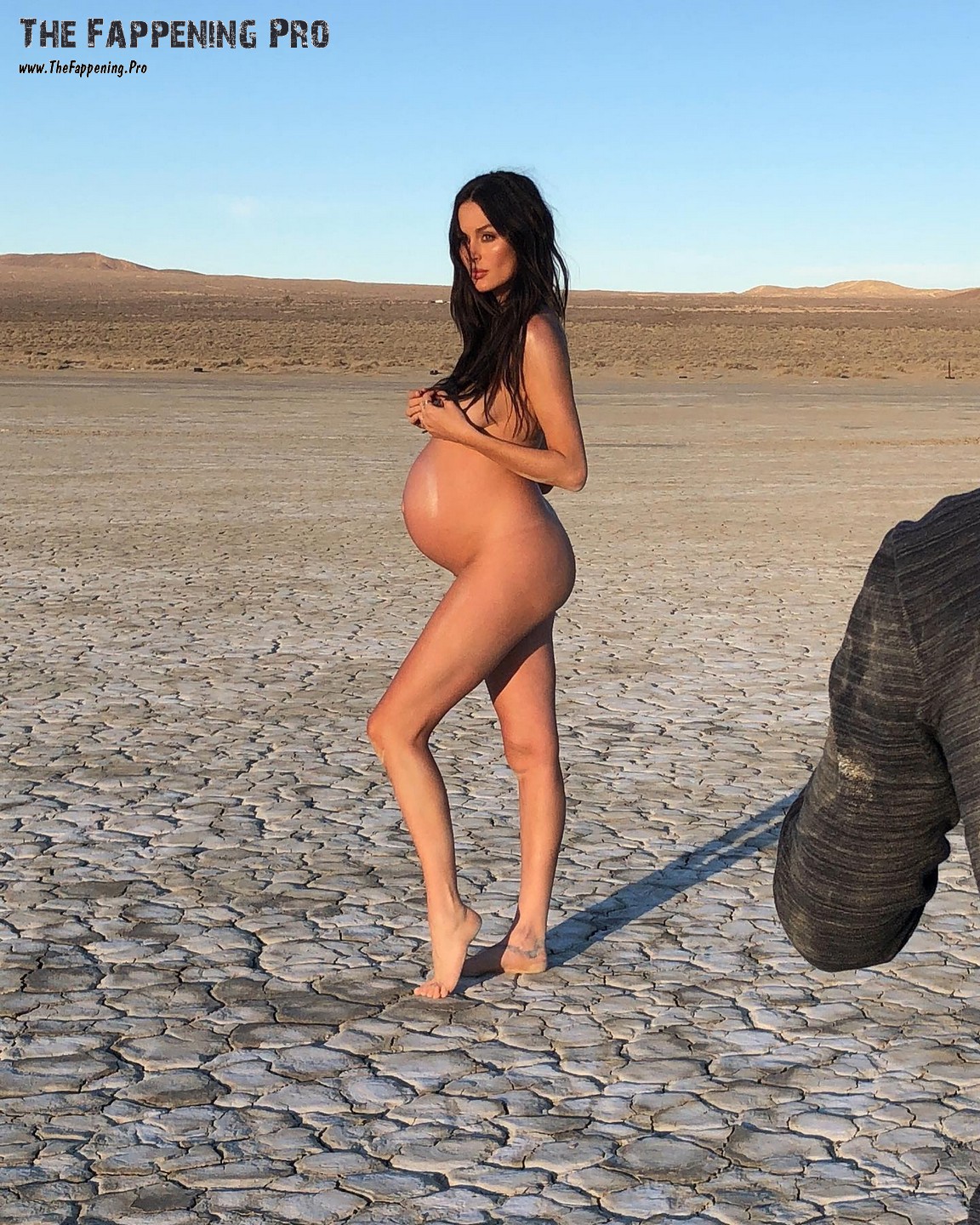 Skinny Girl Pregnant Nude